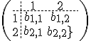 4$\(\array{3,c.cccBCCC$&1&2\\\hdash~1&b_{1,1}&b_{1,2}\\2&b_{2,1}&b_{2,2}\\&}\)